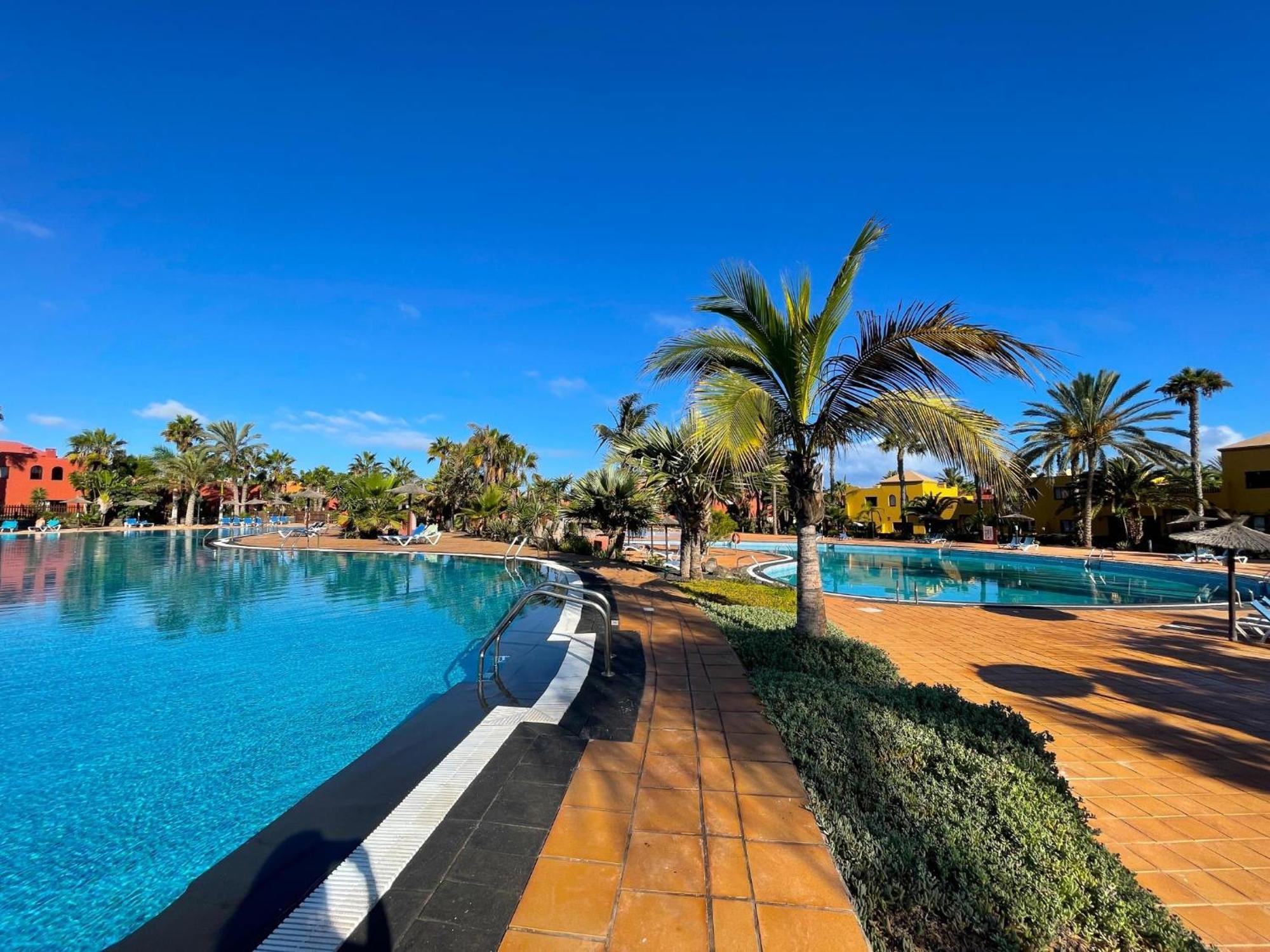 Oasis Tamarindo By Best Holidays Fuerteventura Коральео Номер фото