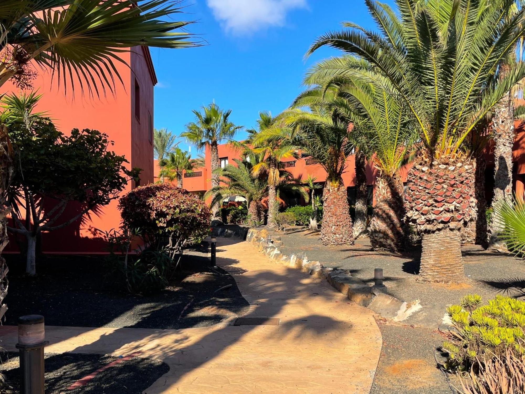 Oasis Tamarindo By Best Holidays Fuerteventura Коральео Номер фото