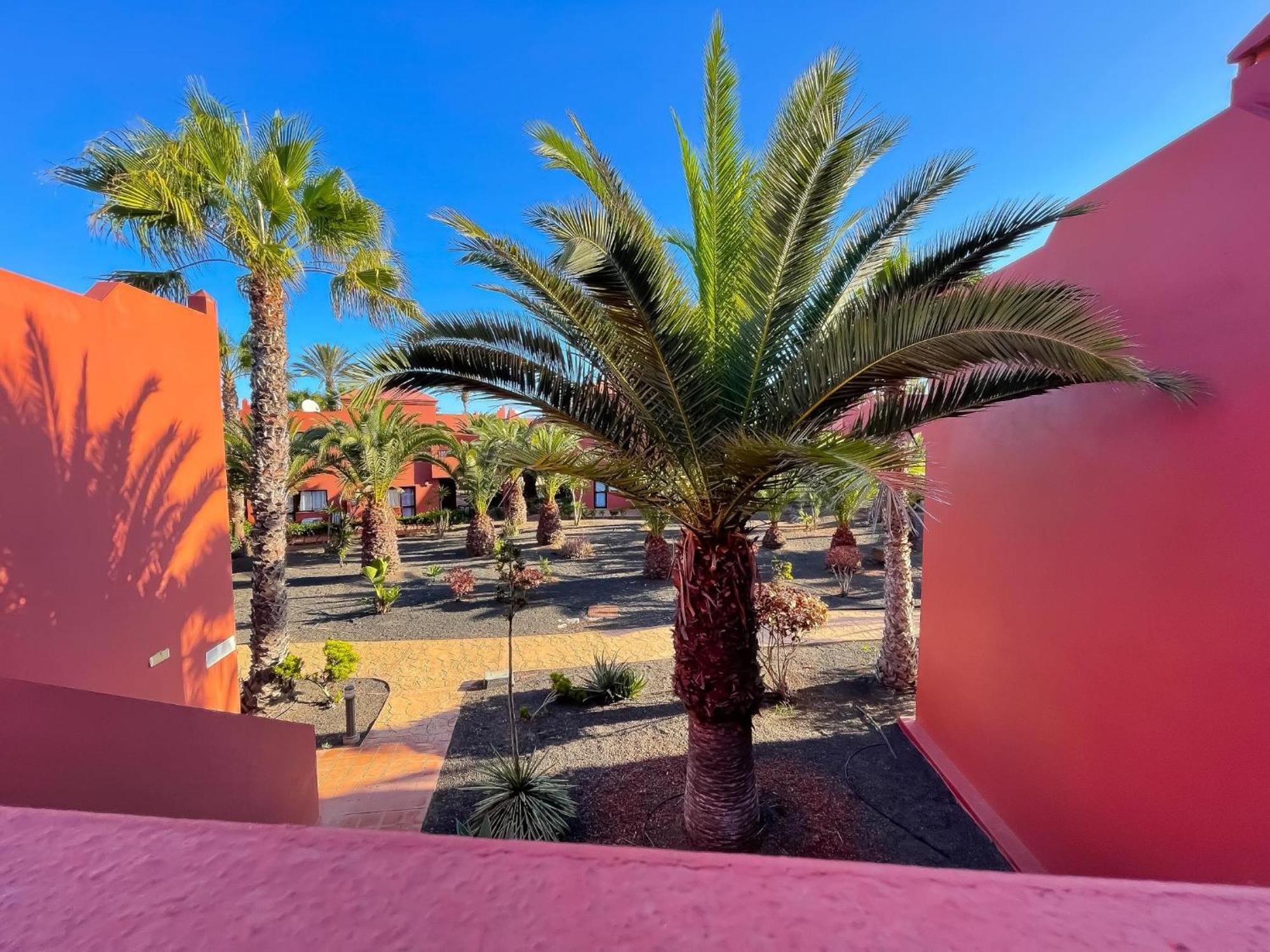 Oasis Tamarindo By Best Holidays Fuerteventura Коральео Номер фото